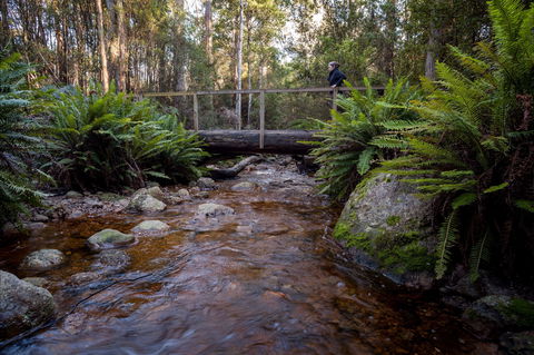 O'Neills Creek Picnic Reserve - Holiday Cairns 0