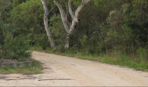 Riverview Walking Track - Holiday Cairns 0