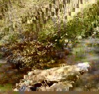 Sandy Creek Track - Holiday Cairns