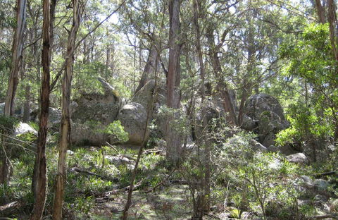 Tallaganda National Park - Holiday Cairns 0