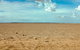 Toorale National Park - thumb 0