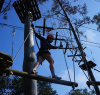 Trees Adventure Nowra Park - Holiday Cairns