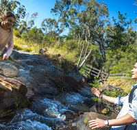 Yackandandah Gorge Scenic Walk - Holiday Cairns