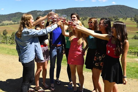 Hunter Valley Wine Tour Ex Newcastle Incl Lunch, Cheese, Chocolate & Distillery - Holiday Cairns 10
