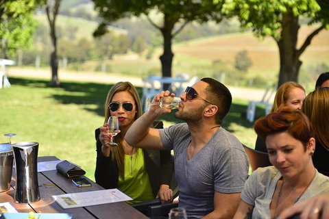 Hunter Valley Wine Tour Ex Newcastle Incl Lunch, Cheese, Chocolate & Distillery - Holiday Cairns 0