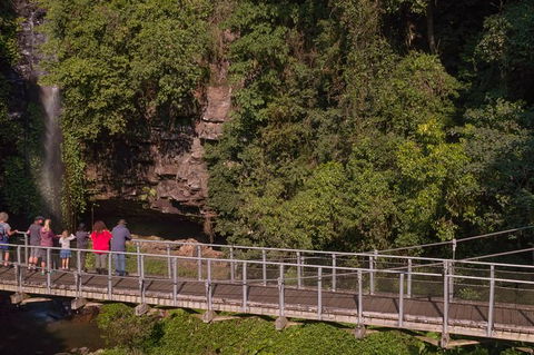 Rainforest & Waterfall Experience - Holiday Cairns 4