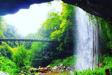 Rainforest & Waterfall Experience - Holiday Cairns 6