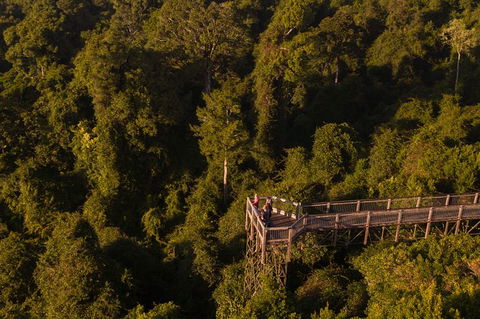 Rainforest & Waterfall Experience - Holiday Cairns 5