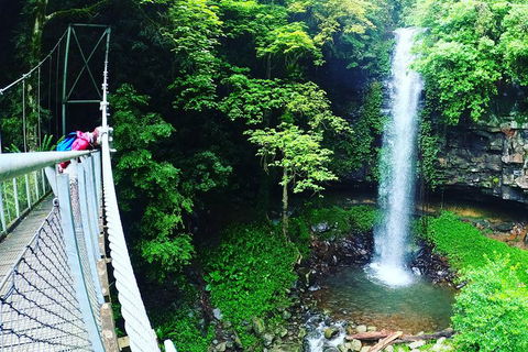 Rainforest & Waterfall Experience - Holiday Cairns 0