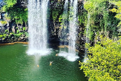 Rainforest & Waterfall Experience - Holiday Cairns 2