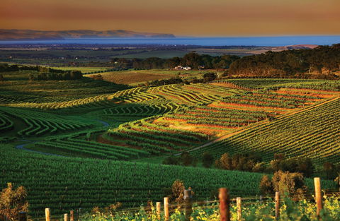 Mclaren Vale - Holiday Cairns 1