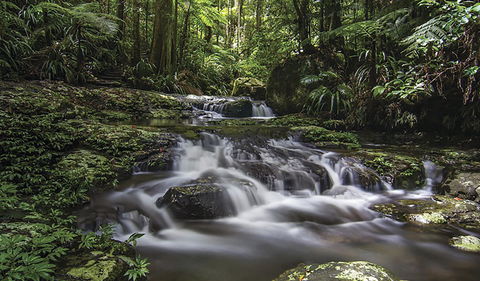 Protesters Falls Walking Track - Holiday Cairns 0