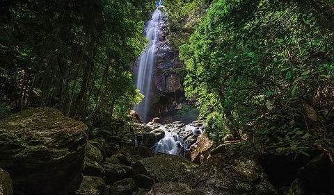 Protesters Falls Walking Track - Holiday Cairns 1