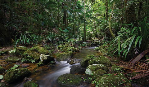 Protesters Falls Walking Track - Holiday Cairns 2