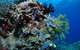Two Towers Dive Site - thumb 2