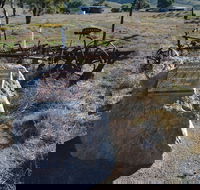 Wangaraleednie Monument  Ruins - Holiday Cairns