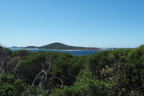 Boulder Bay Half Day Guided Walk - Holiday Cairns 6