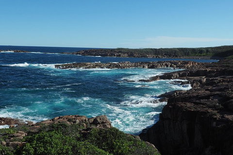 Boulder Bay Half Day Guided Walk - Holiday Cairns 3