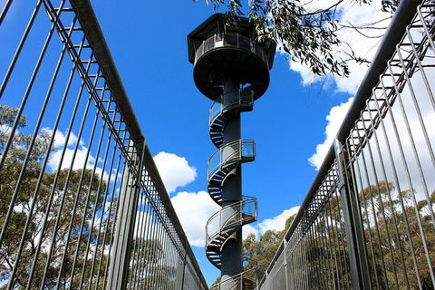 Illawarra Fly Treetop Adventures Admission Including Zipline Tour - Holiday Cairns 3