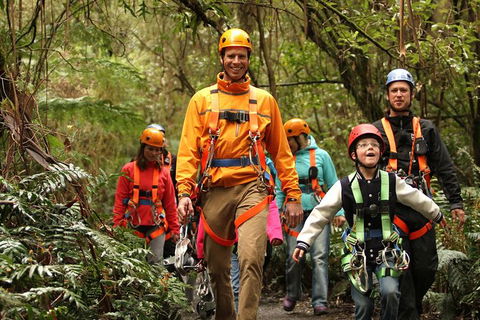 Illawarra Fly Treetop Adventures Admission Including Zipline Tour - Holiday Cairns 1