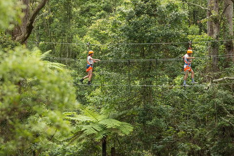 Illawarra Fly Treetop Adventures Admission Including Zipline Tour - Holiday Cairns 0