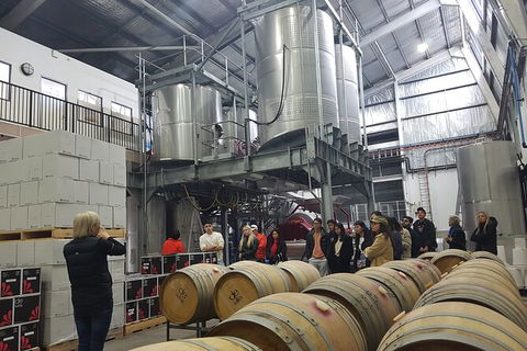 Hunter Valley Small Group Wine, Gin, Cheese & Chocolate Tour - Holiday Cairns 6