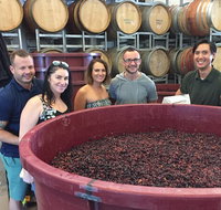 Hunter Valley Small Group Wine Gin Cheese  Chocolate Tour - Holiday Cairns