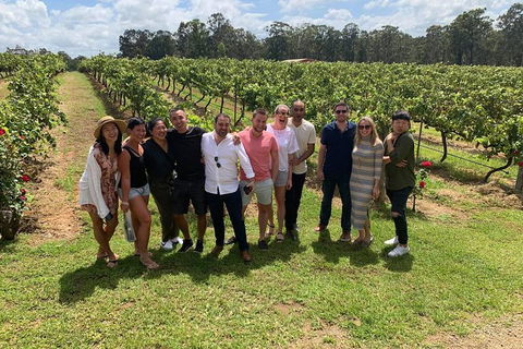 Hunter Valley Exclusive Kangaroo And Wine Tasting Experience - Holiday Cairns 6