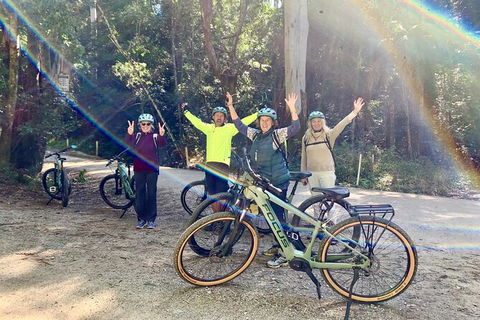 Guided E Bike Tour - Unicorn Falls & National Park - Holiday Cairns 3
