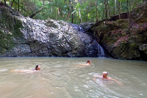 Guided E Bike Tour - Unicorn Falls & National Park - Holiday Cairns 12