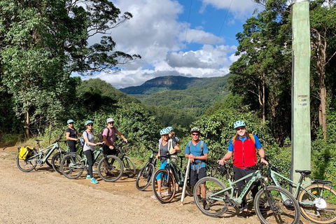 Guided E Bike Tour - Unicorn Falls & National Park - Holiday Cairns 13