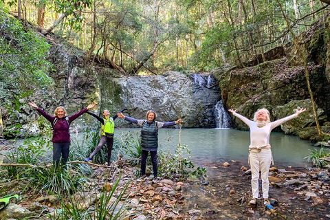 Guided E Bike Tour - Unicorn Falls & National Park - Holiday Cairns 8