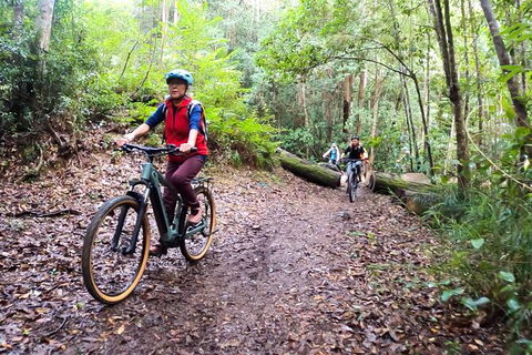 Guided E Bike Tour - Unicorn Falls & National Park - Holiday Cairns 9