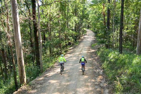 Guided E Bike Tour - Unicorn Falls & National Park - Holiday Cairns 7