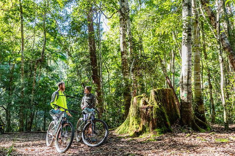 Guided E Bike Tour - Unicorn Falls & National Park - Holiday Cairns 14