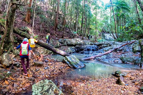 Guided E Bike Tour - Unicorn Falls & National Park - Holiday Cairns 17