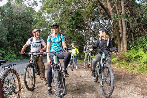 Guided E Bike Tour - Unicorn Falls & National Park - Holiday Cairns 11