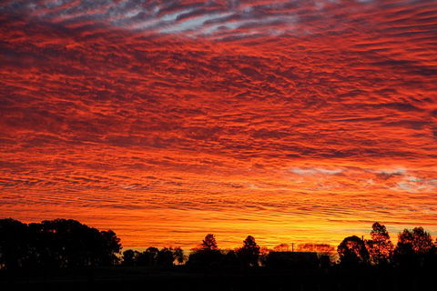 Private Full-Day Wine Tour In Hunter Valley - Holiday Cairns 0