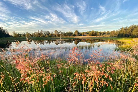 Private Full-Day Wine Tour In Hunter Valley - Holiday Cairns 5