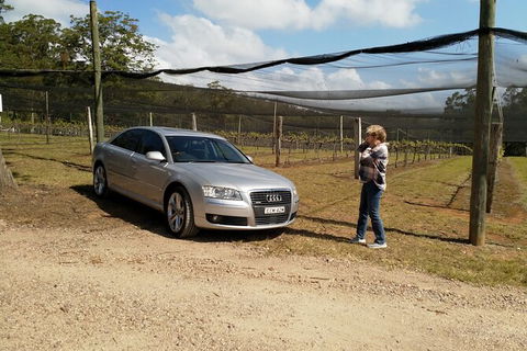 The Secret Vines Experience Port Macquarie - Holiday Cairns 0