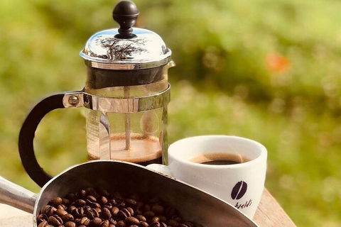 Coffee Farm Tour And Workshop, Byron Bay Hinterland - Holiday Cairns 0