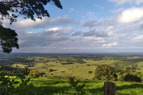 Coffee Farm Tour And Workshop, Byron Bay Hinterland - Holiday Cairns 4