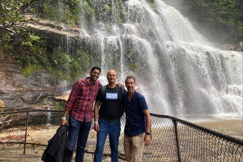 Blue Mountains Highlights & Wildlife Park - Holiday Cairns 4