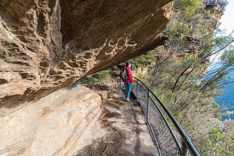 Blue Mountains Highlights & Wildlife Park - Holiday Cairns 0