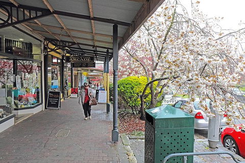 Blue Mountains Highlights & Wildlife Park - Holiday Cairns 2