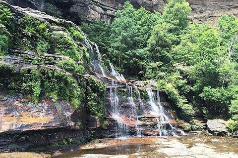 Blue Mountains Highlights & Wildlife Park - Holiday Cairns 8