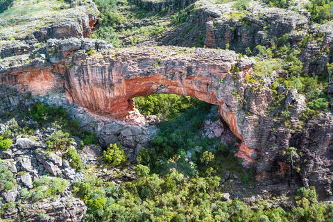 Jabiru 60 Minute Scenic Flight - Holiday Cairns 3