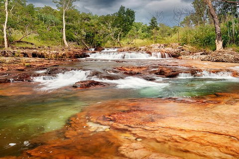 Full-Day Private Guided Tour To Litchfield National Park - Holiday Cairns 14