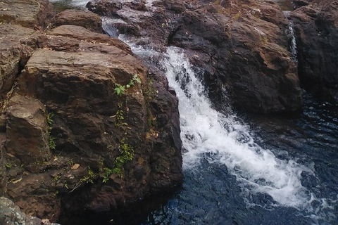 Full-Day Private Guided Tour To Litchfield National Park - Holiday Cairns 8