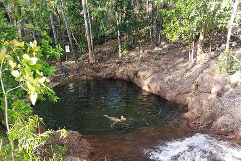 Full-Day Private Guided Tour To Litchfield National Park - Holiday Cairns 18